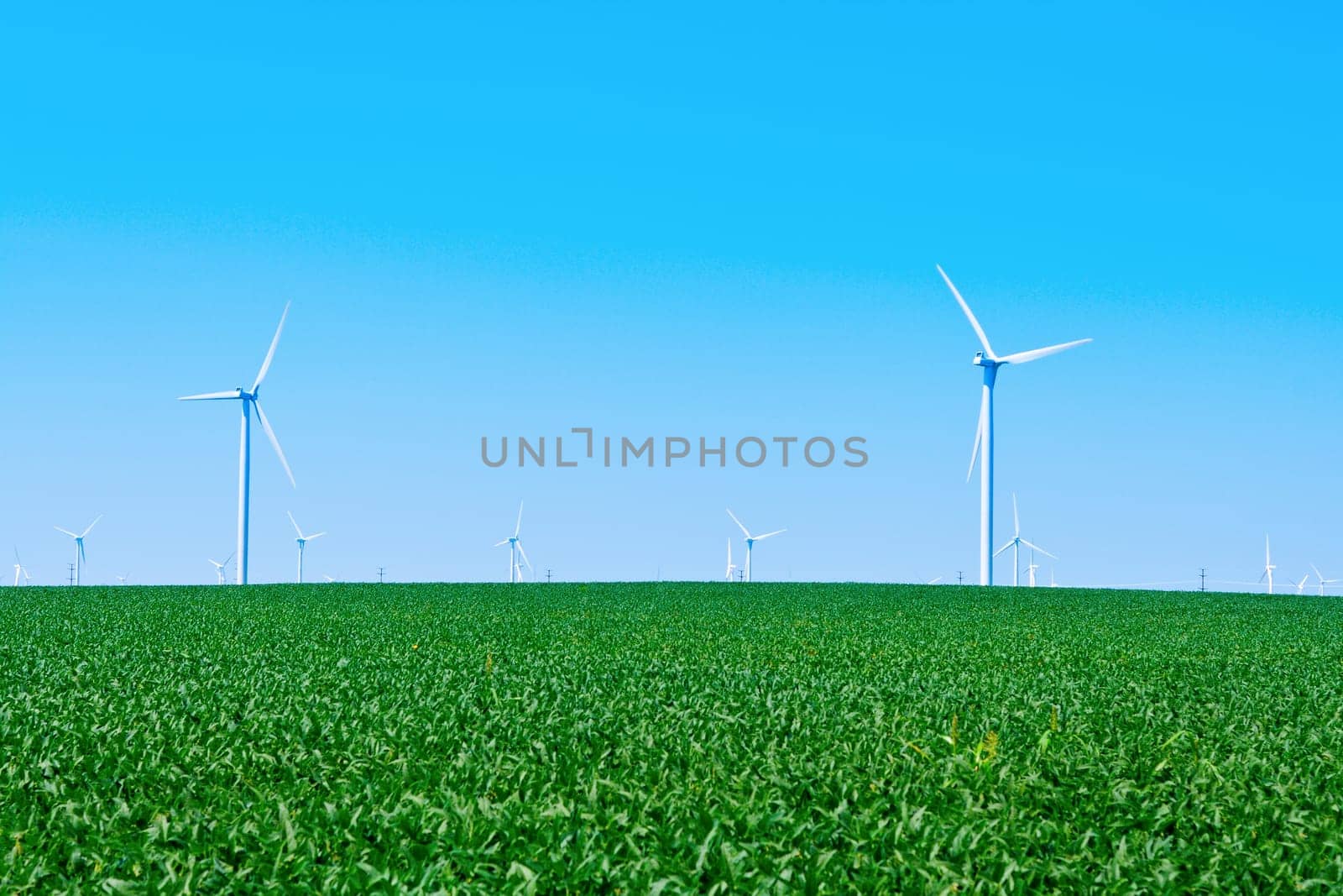 Wind turbines on a farm in blue skies