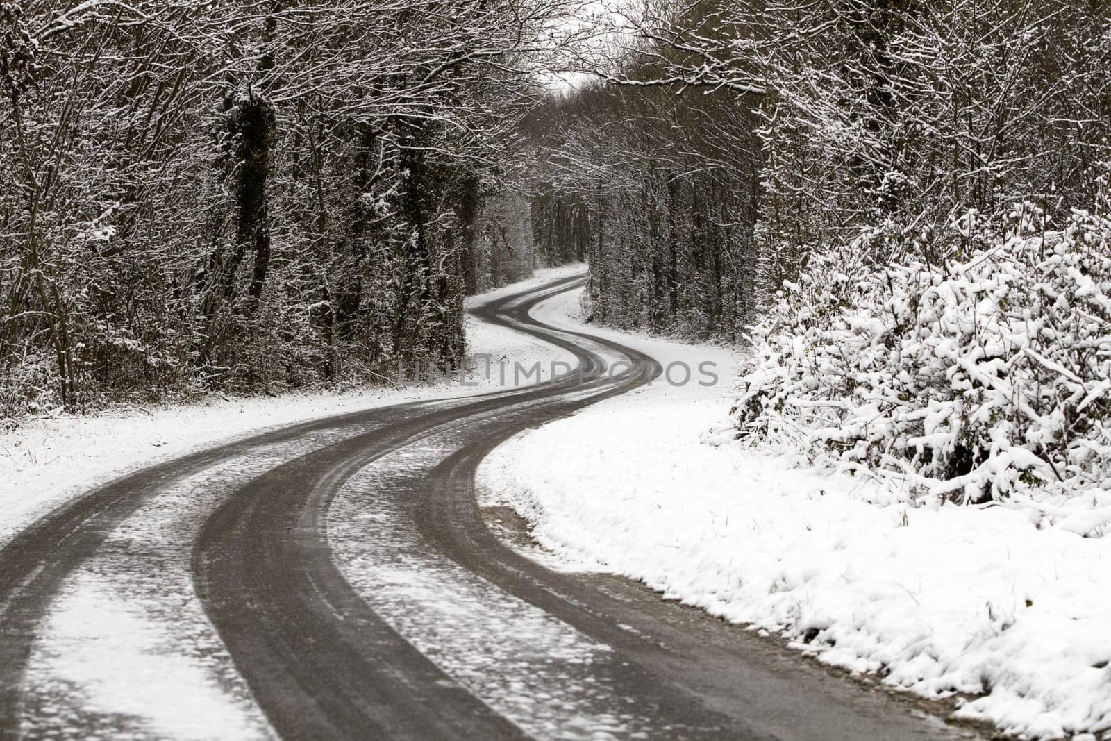 A snowy road in winter