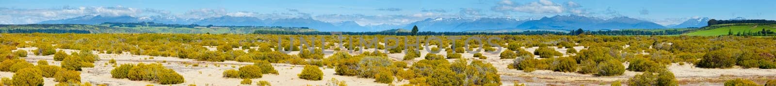 Panoramic view of New Zealand countryside with mountains in the background