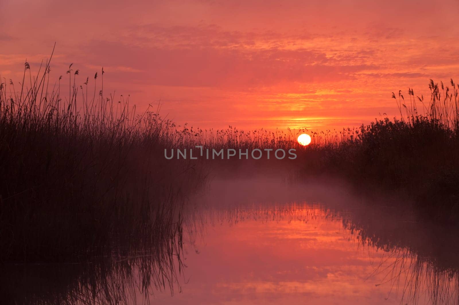 a beautiful sunrise on the lake among the reeds