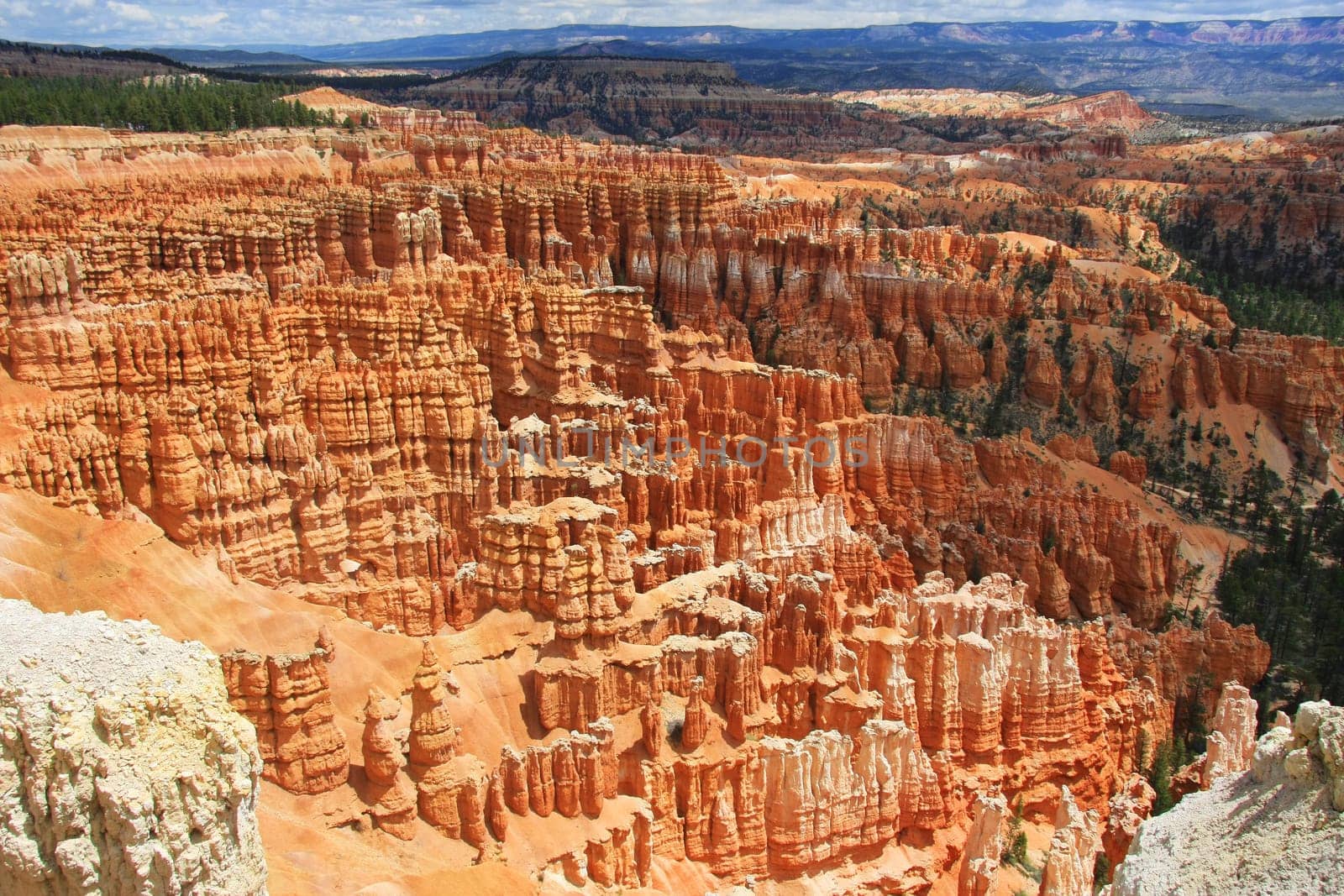 Stone formations in Bryce Canyon National Park