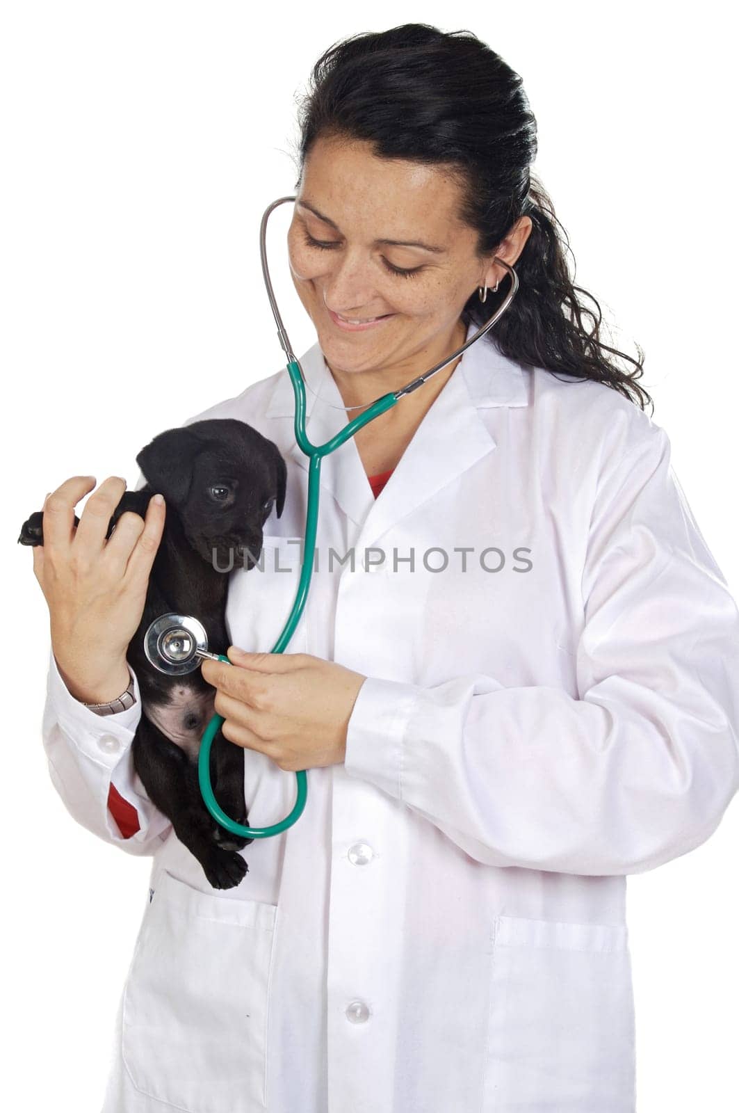Attractive lady veterinarian over a white background