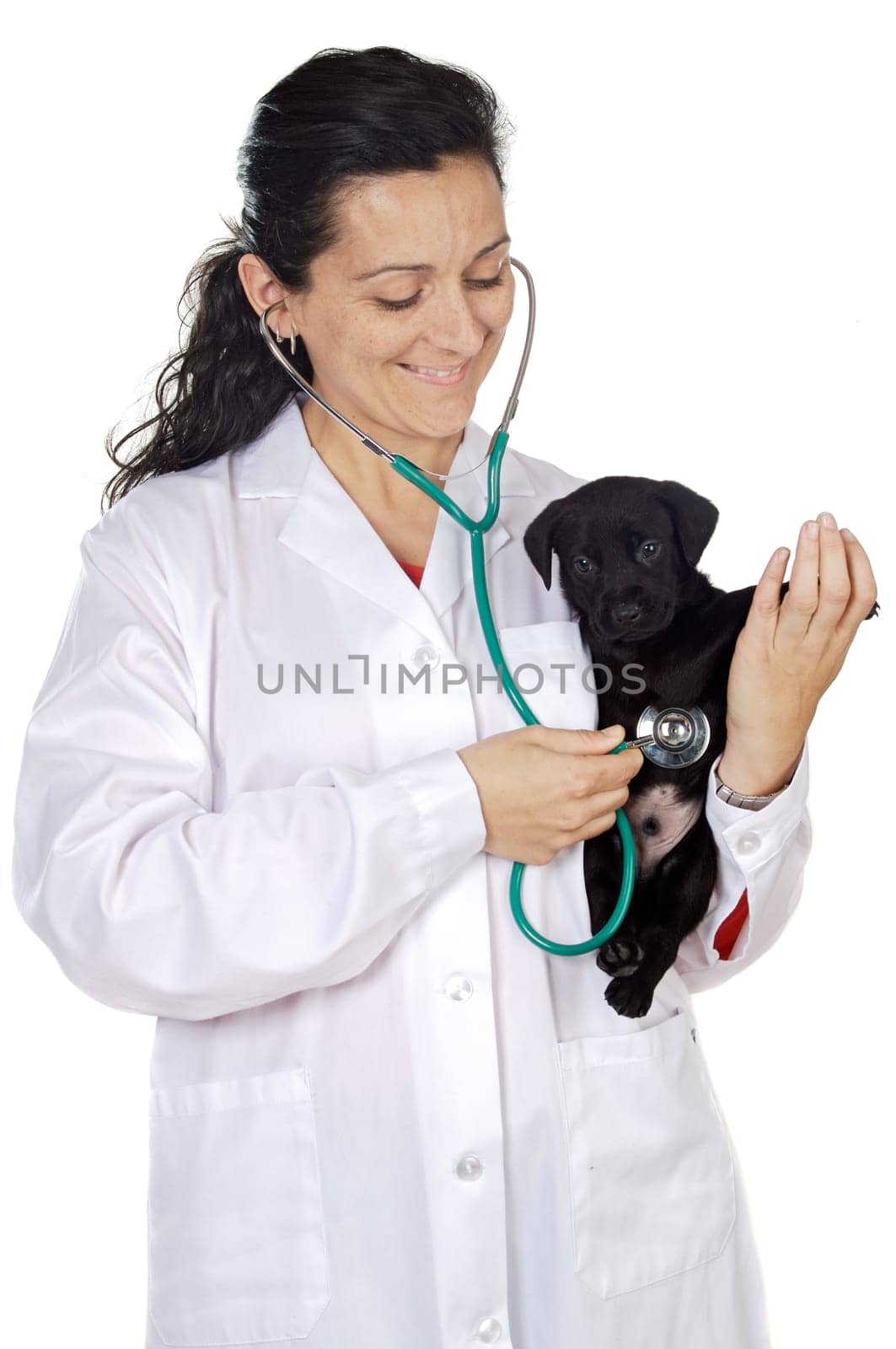 Attractive lady veterinarian over a white background