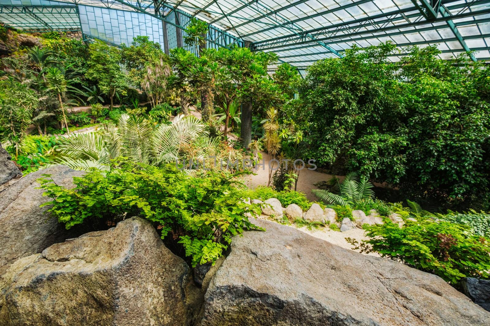 Interior view of the cold house Estufa Fria is a greenhouse with gardens, ponds, exotic plants and trees in Lisbon, Portugal