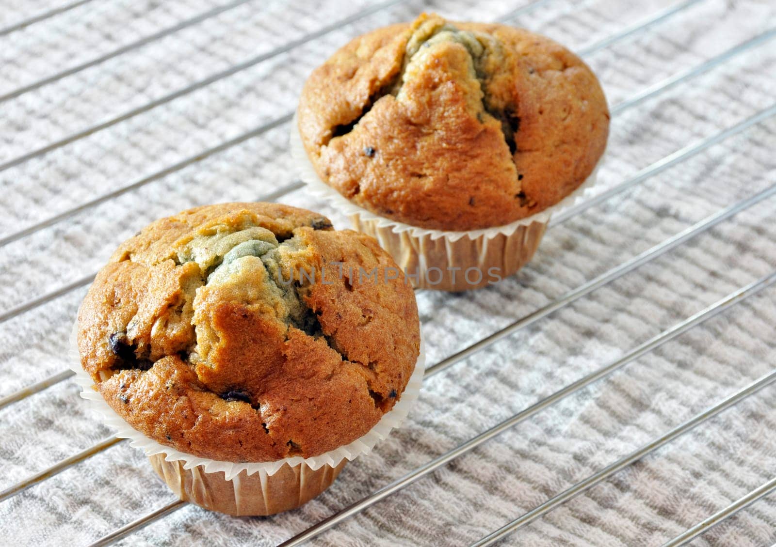 Two freshly baked blueberry muffins