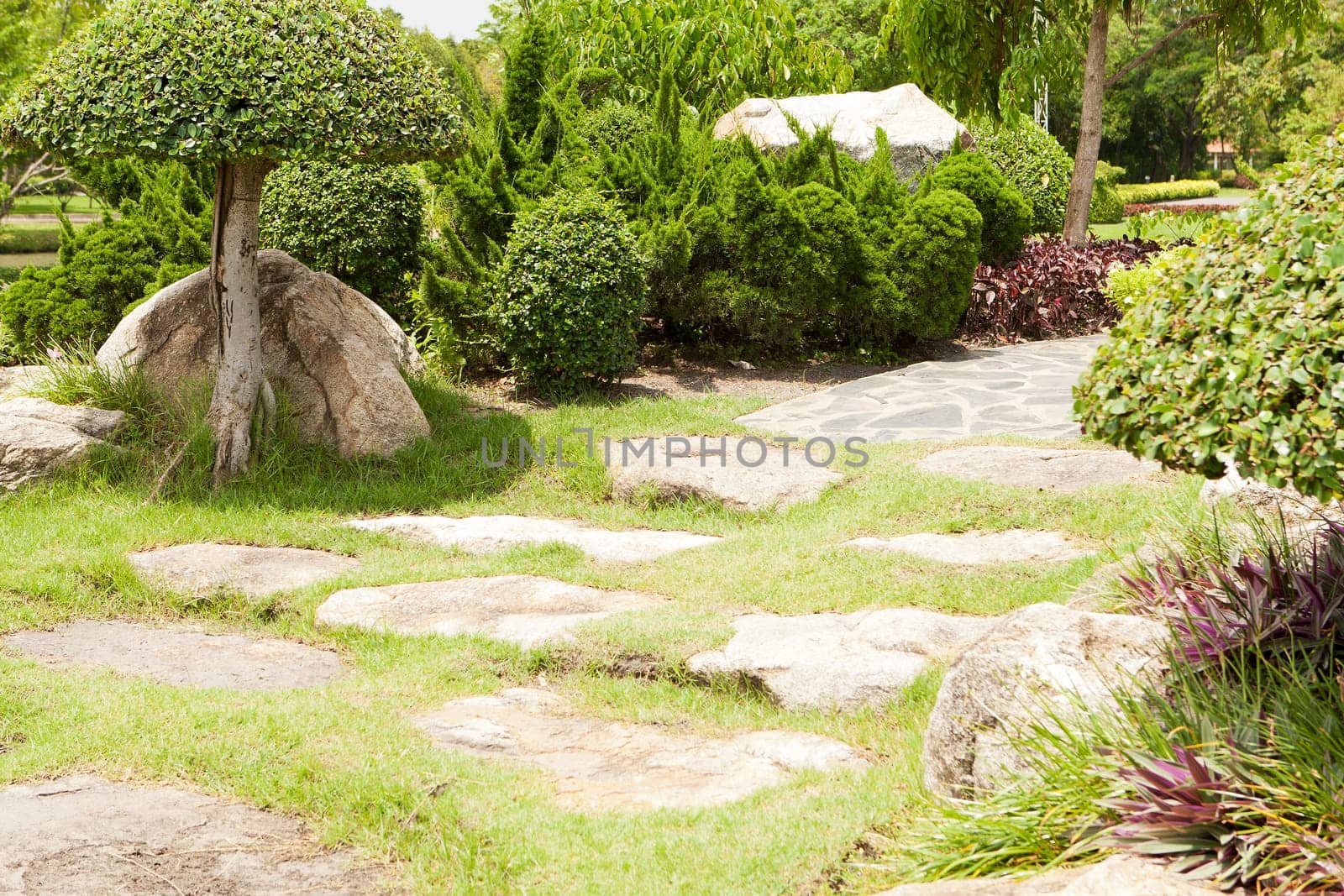 Japanese garden,well-kept botany in a park of Bangkok