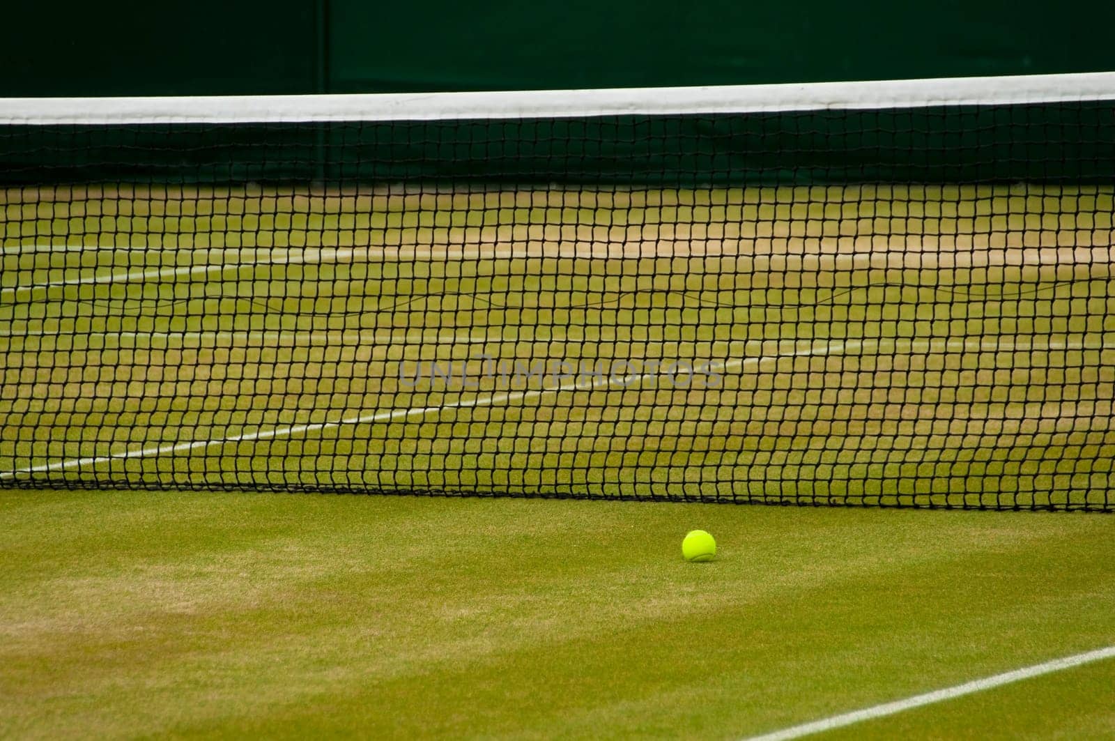 Detail of a lawn tennis court