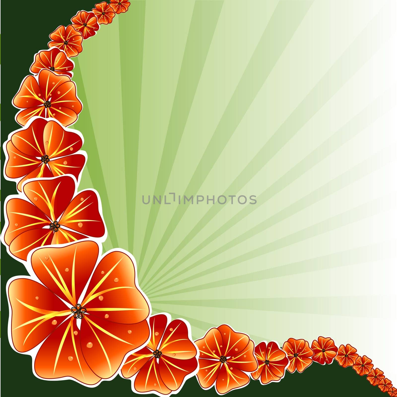 Floral Background