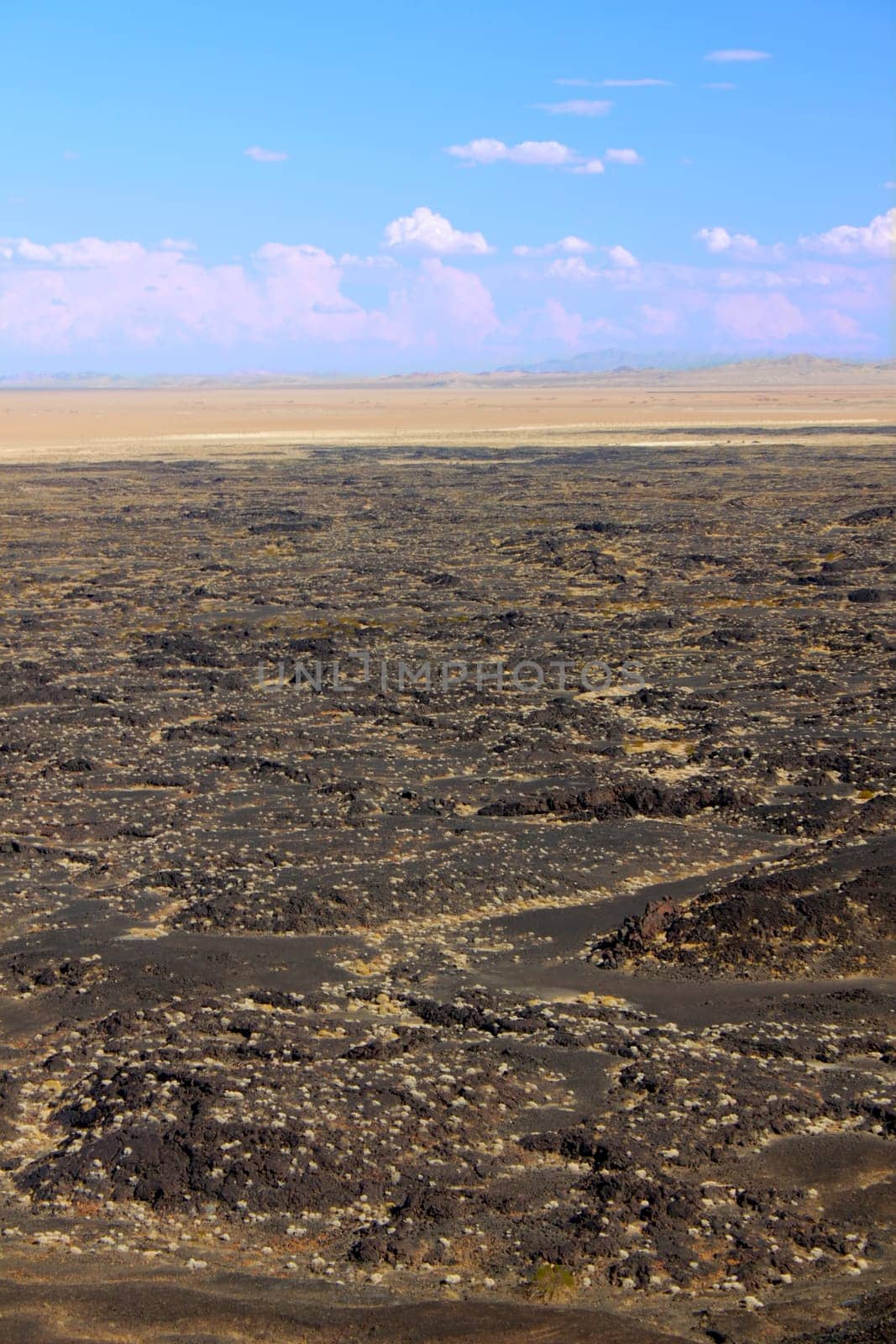 Volcanic rock scatters the desert around Amboy Crater National Natural Landmark in California.