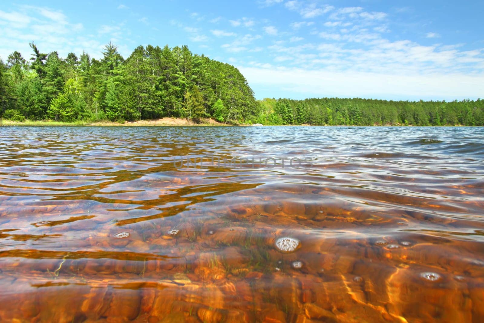 Beautiful sunny day on a northwoods Wisconsin Lake.