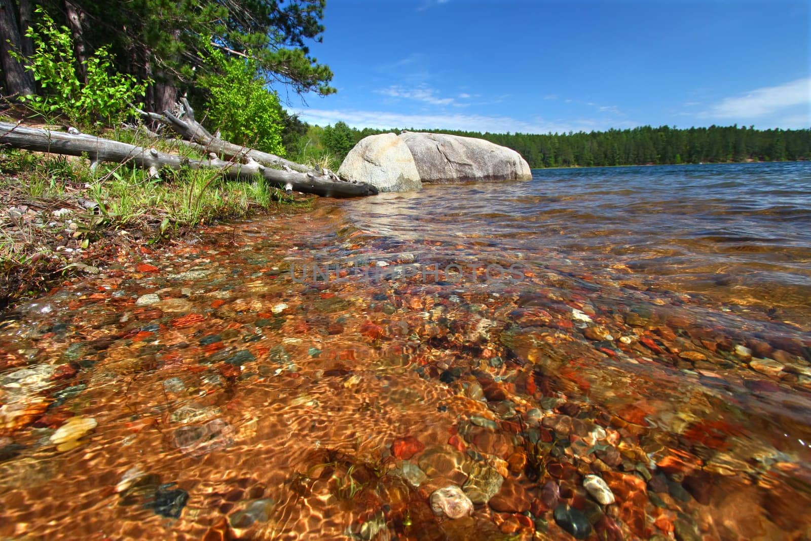 Beautifully colored rocks shine through clear waters in a northwoods Wisconsin Lake.