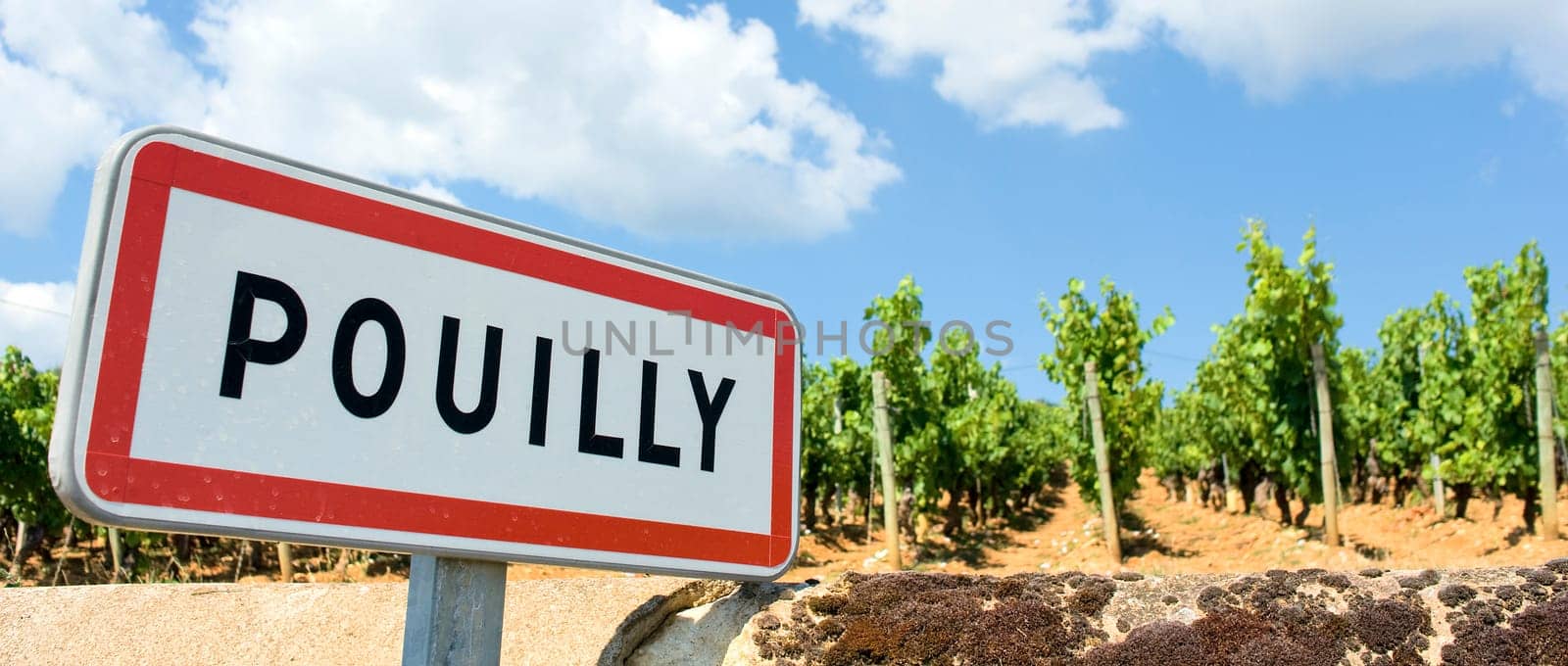 Pouilly, famous french city with wine agriculture