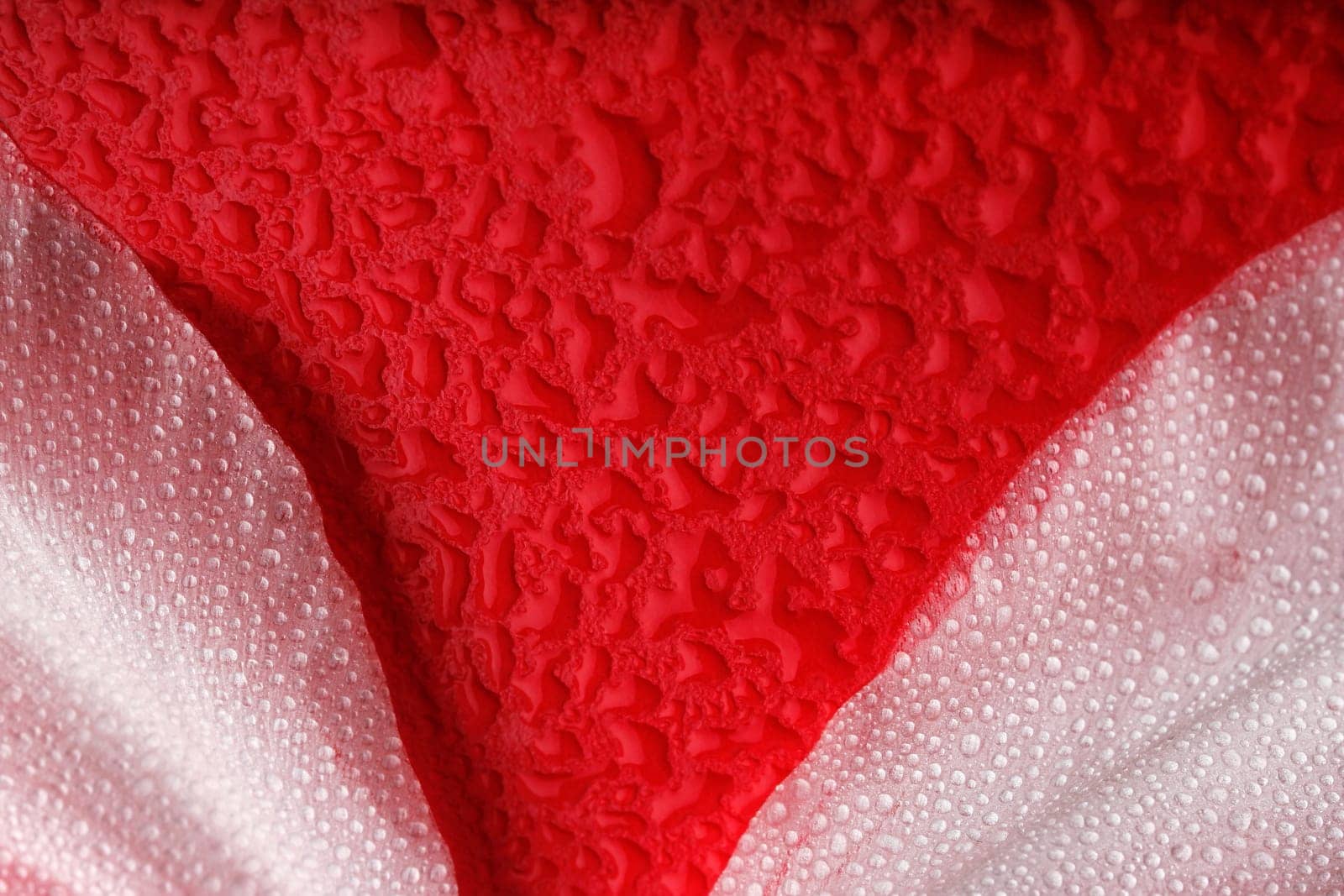 Water droplets on flower petals on a red background