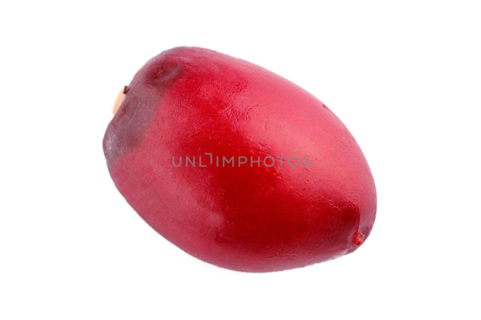 A single ripe date fruit on white