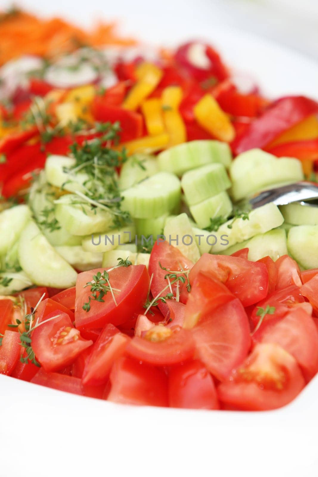 fresh salad with cucumbers and tomatoes - deliciously served - close-up