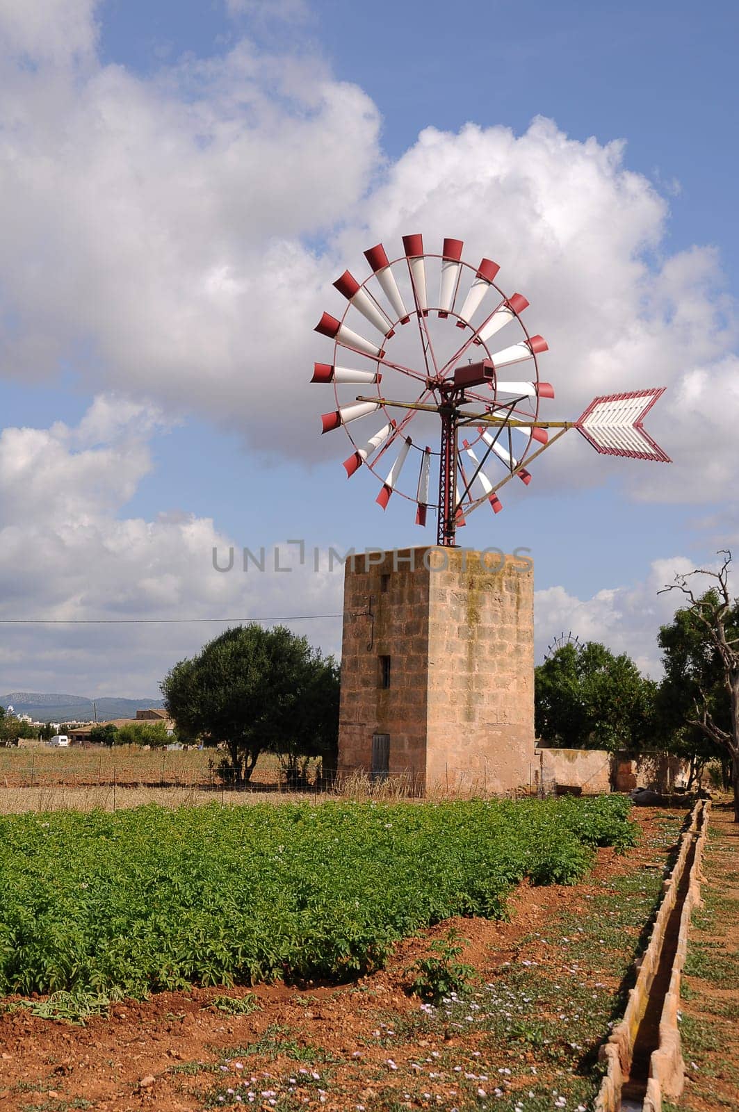 Windmill in Mallorca