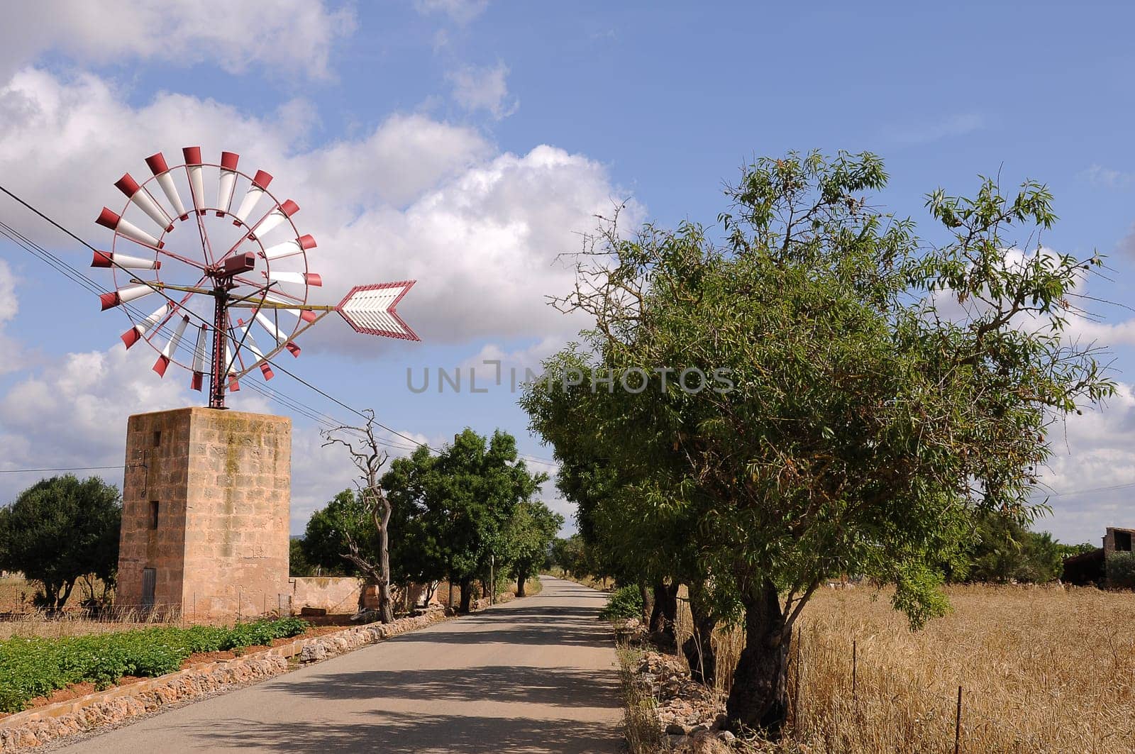 Windmill in Mallorca