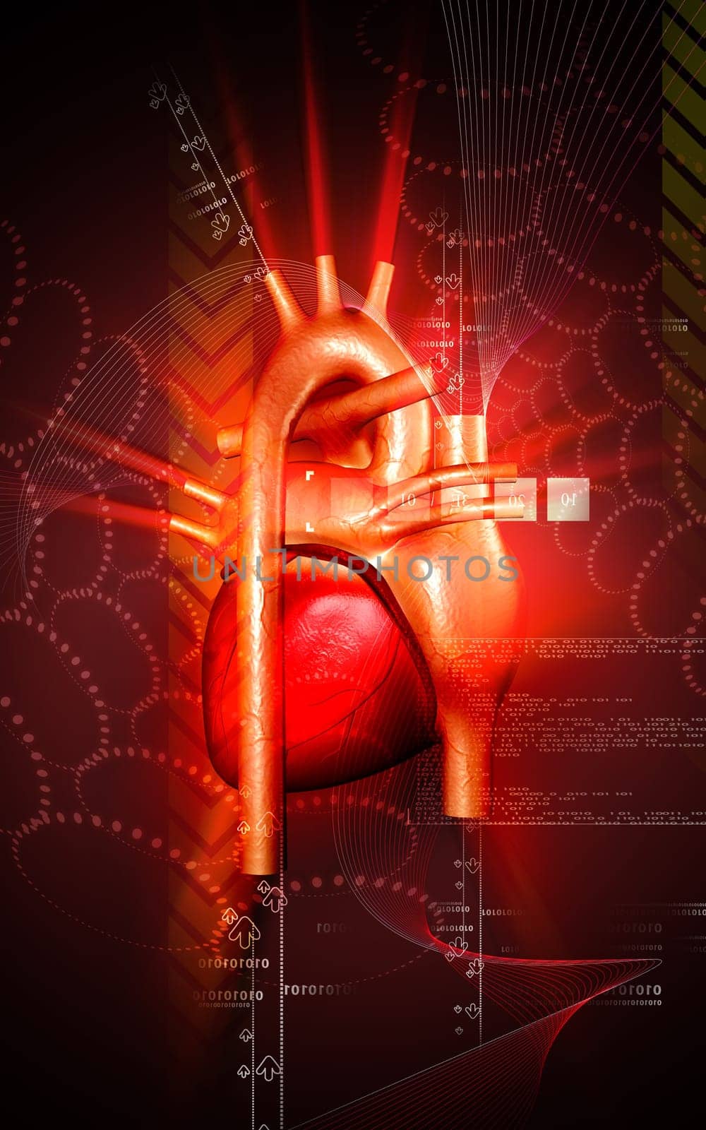 Digital illustration of heart in colour background