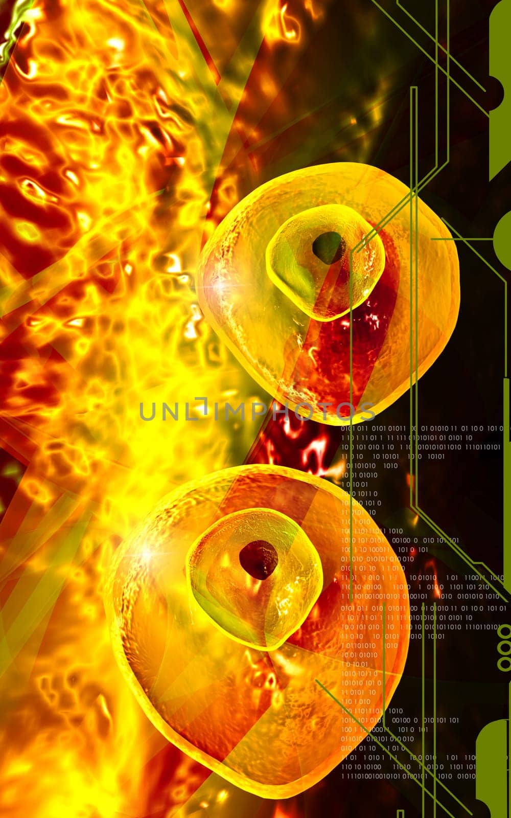 Digital illustration of Ovum cell in colour background