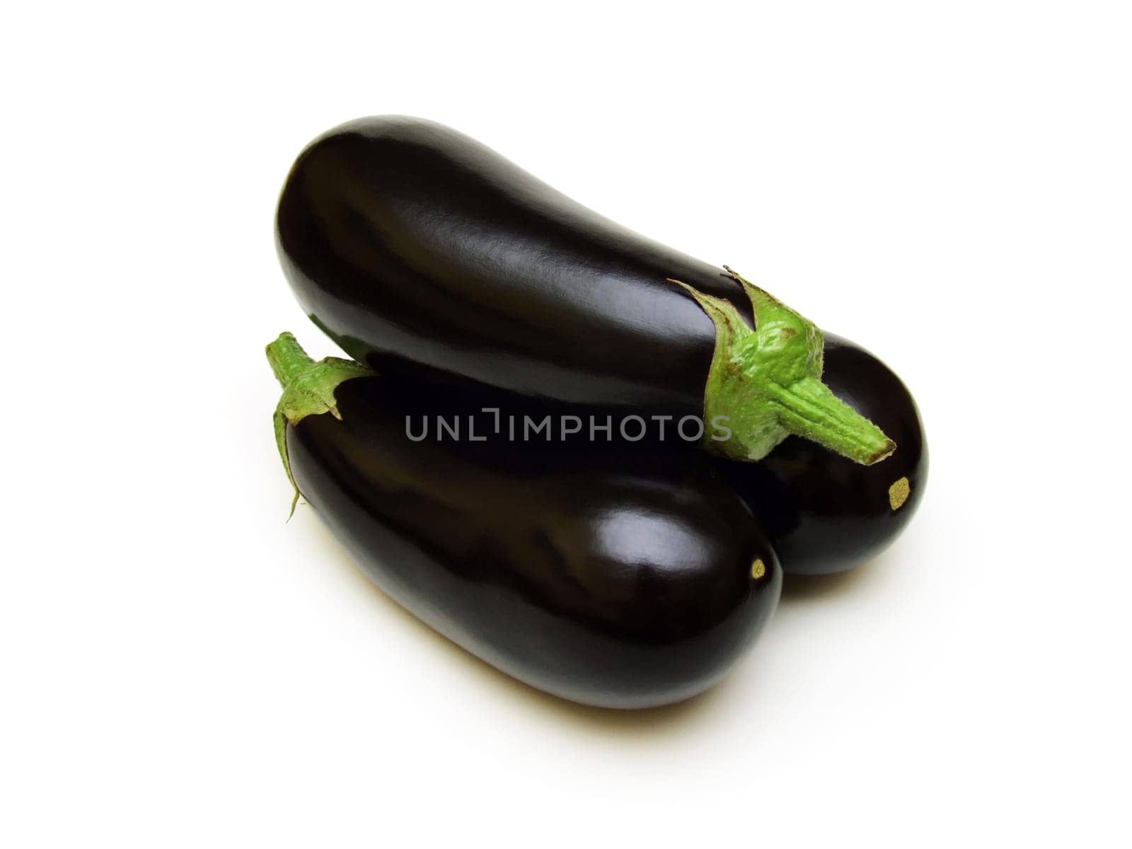 Eggplant (Solanum melongena)