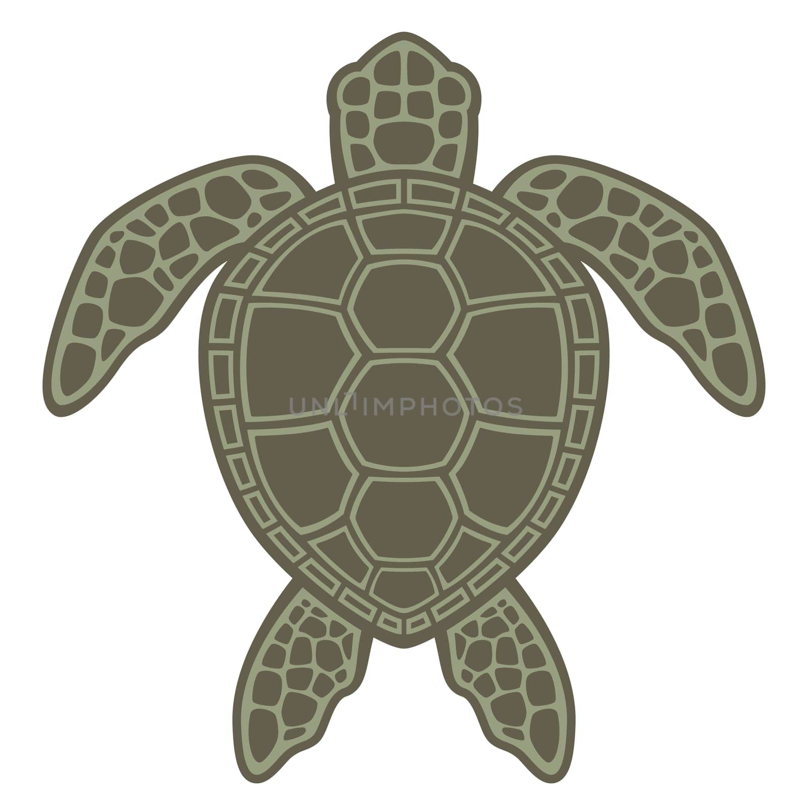 Vector graphic illustration of a Green Sea Turtle.