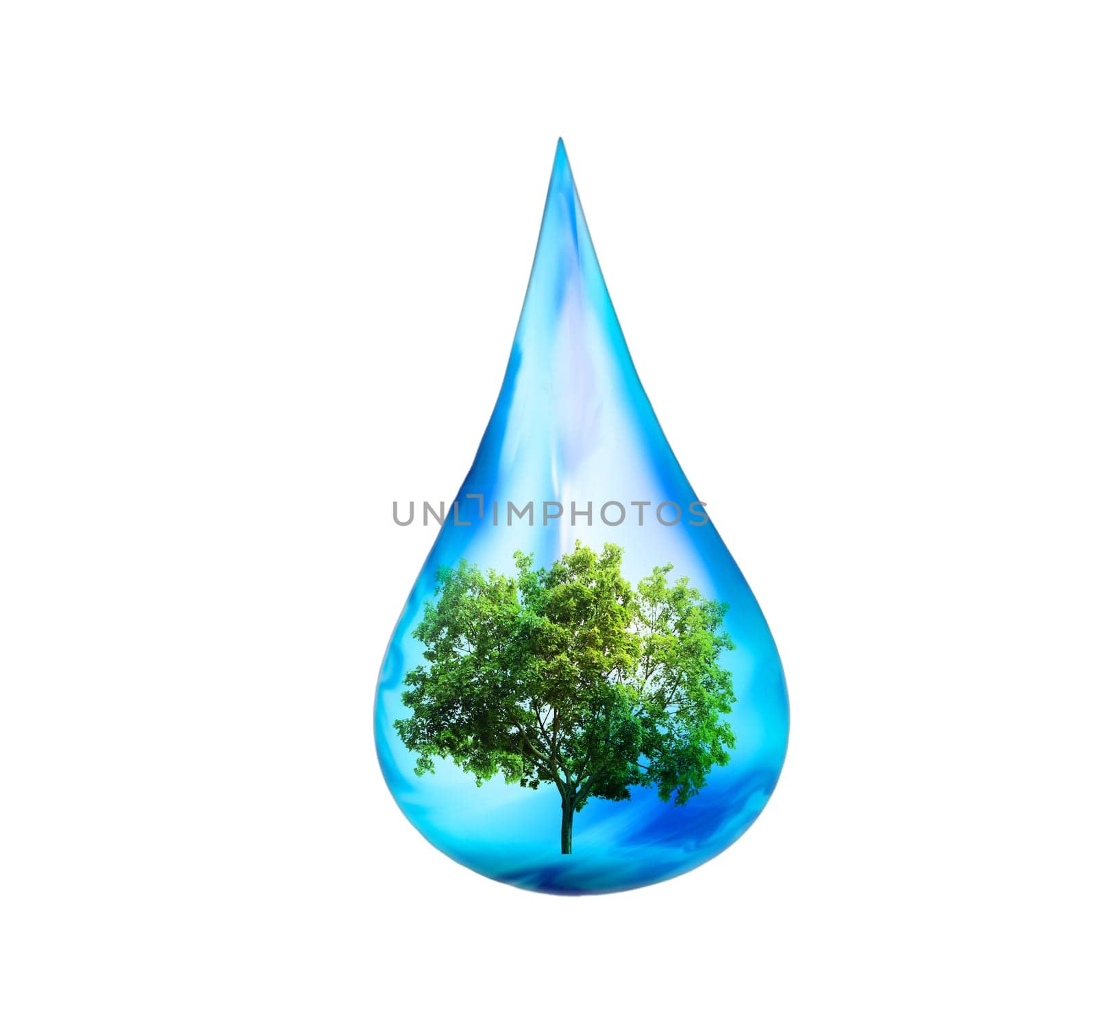 Water drop with a tree