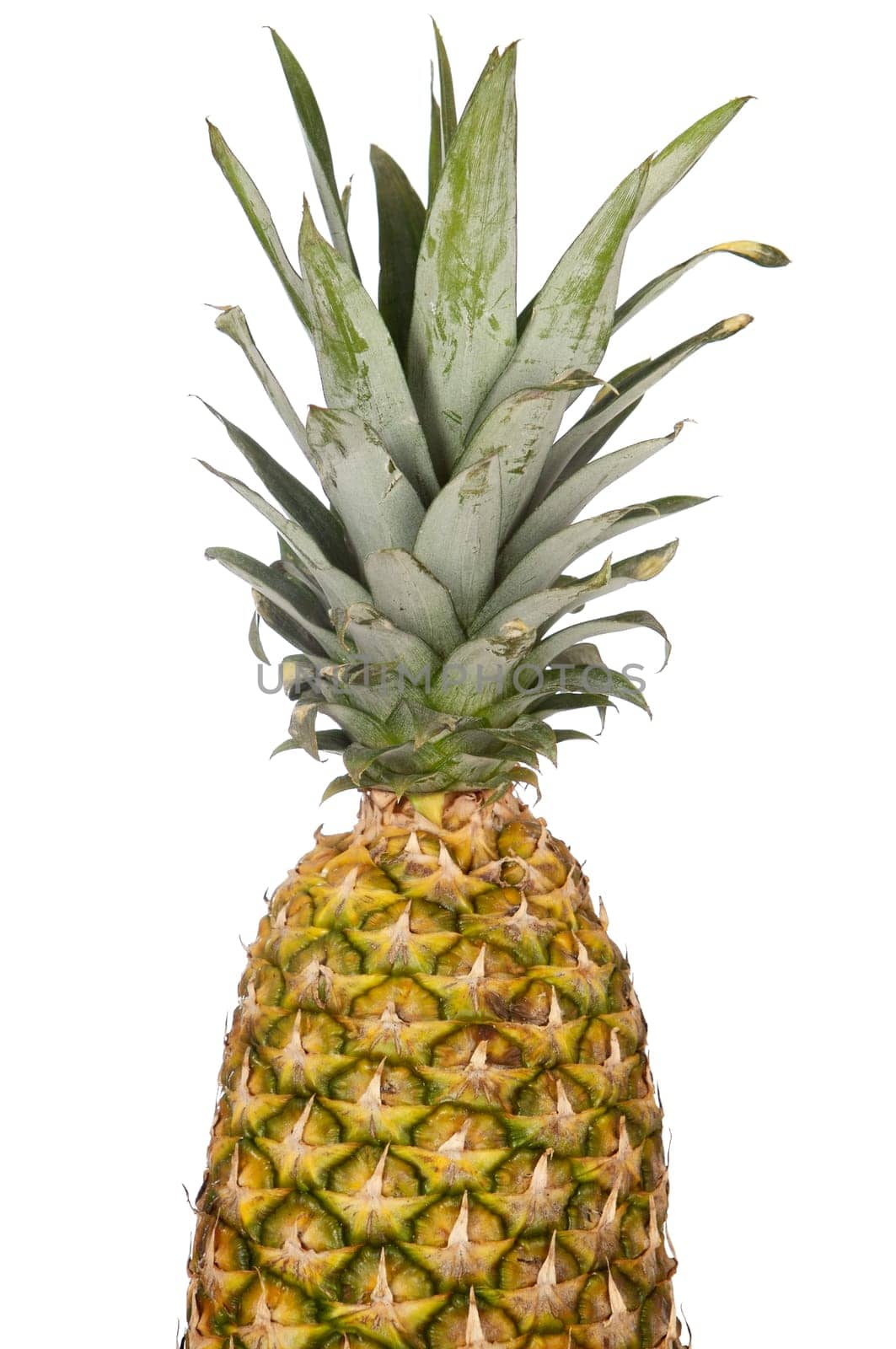 a tropical fruit a over white background
