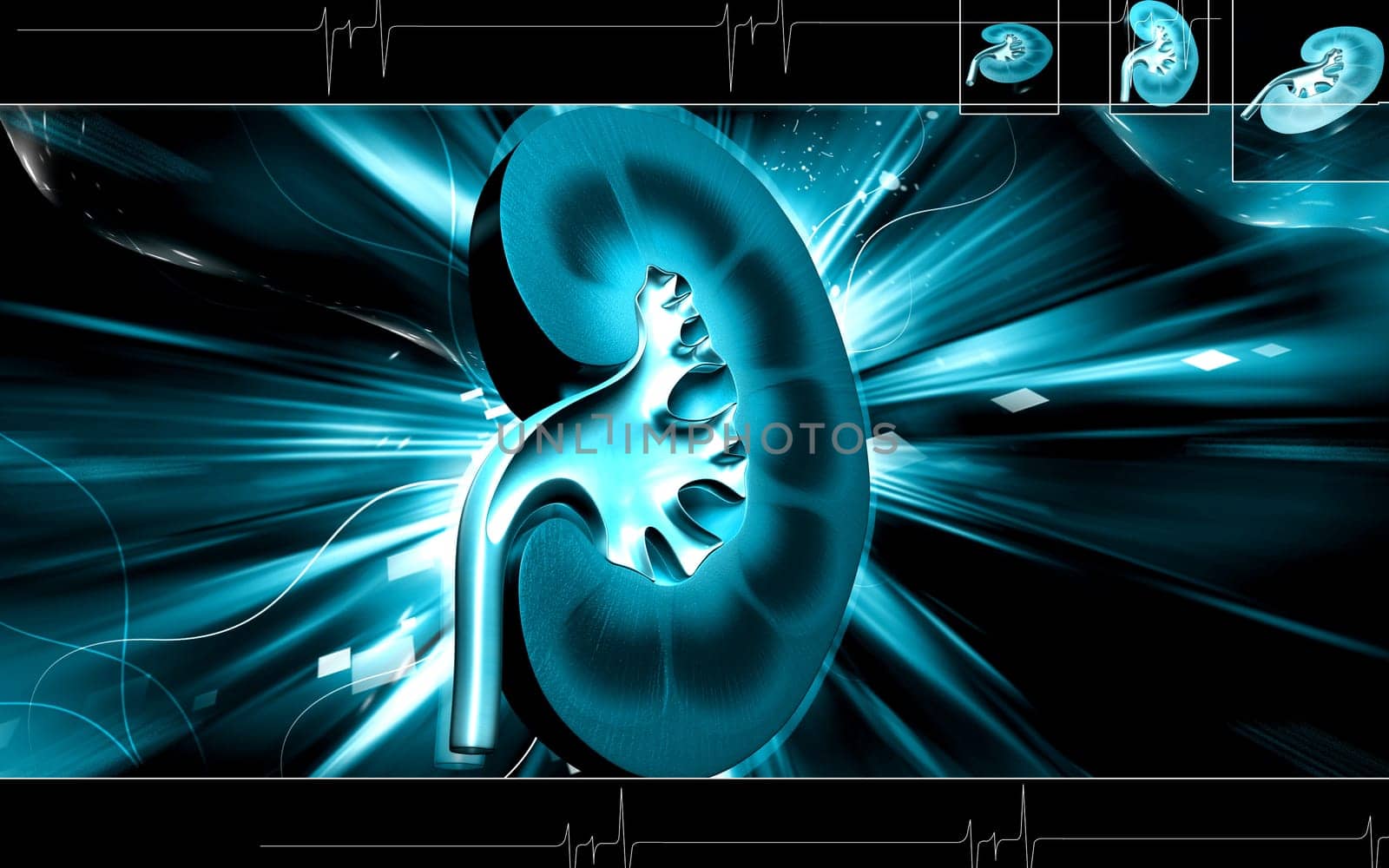 Digital illustration of kidney in colour background