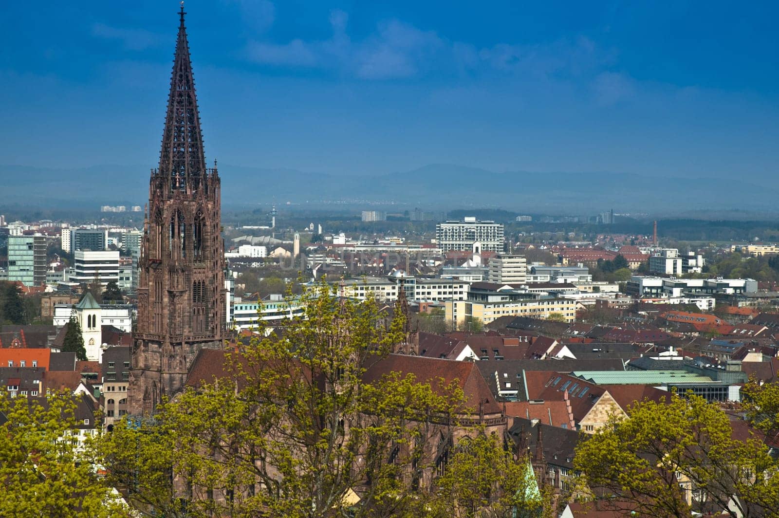 View of the Freiburg Cathedral in Breisgau,Baden