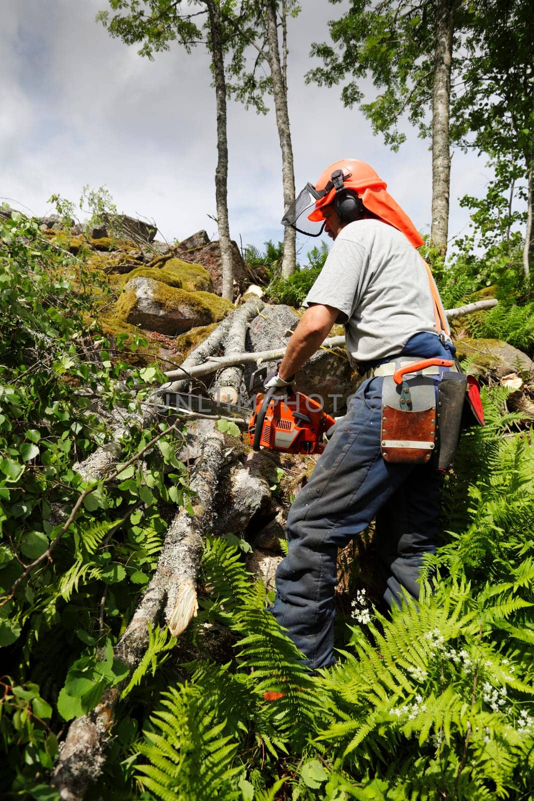 wood-cutter, lumberjack, with chain-saw, in action