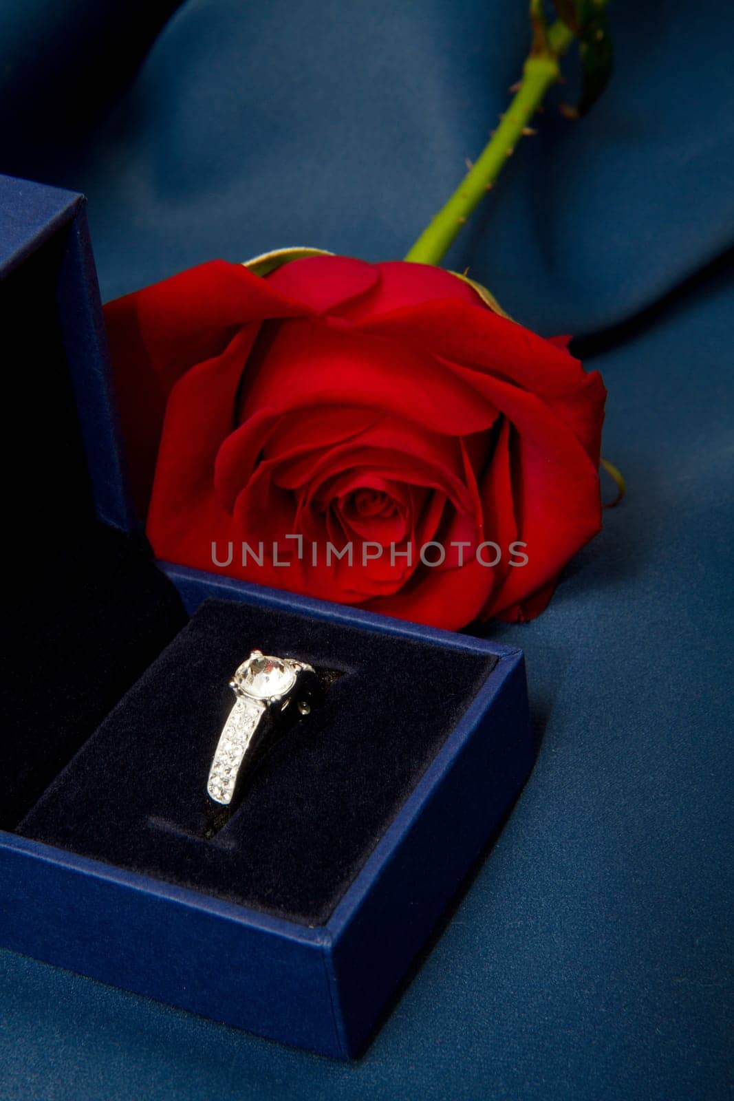 a red rose with ring's gift