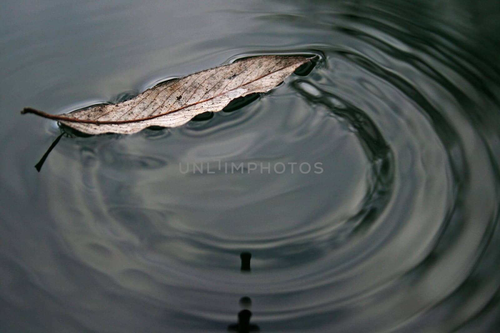 Waterdrop