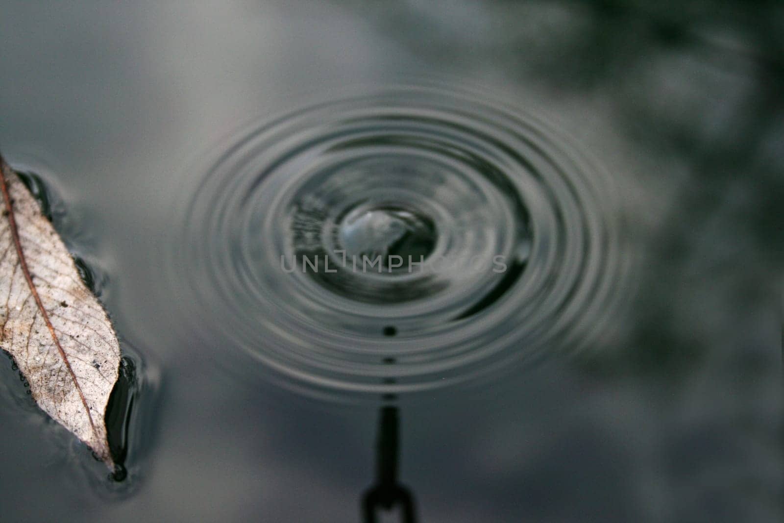 Waterdrop