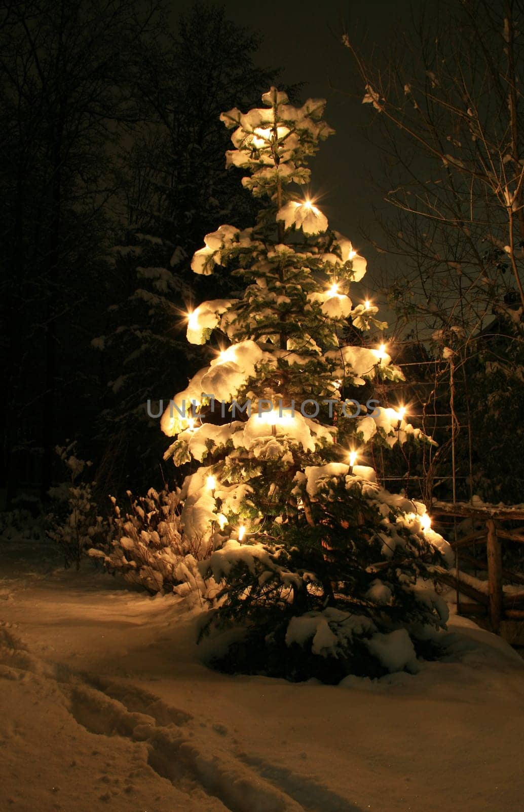 Christbaun