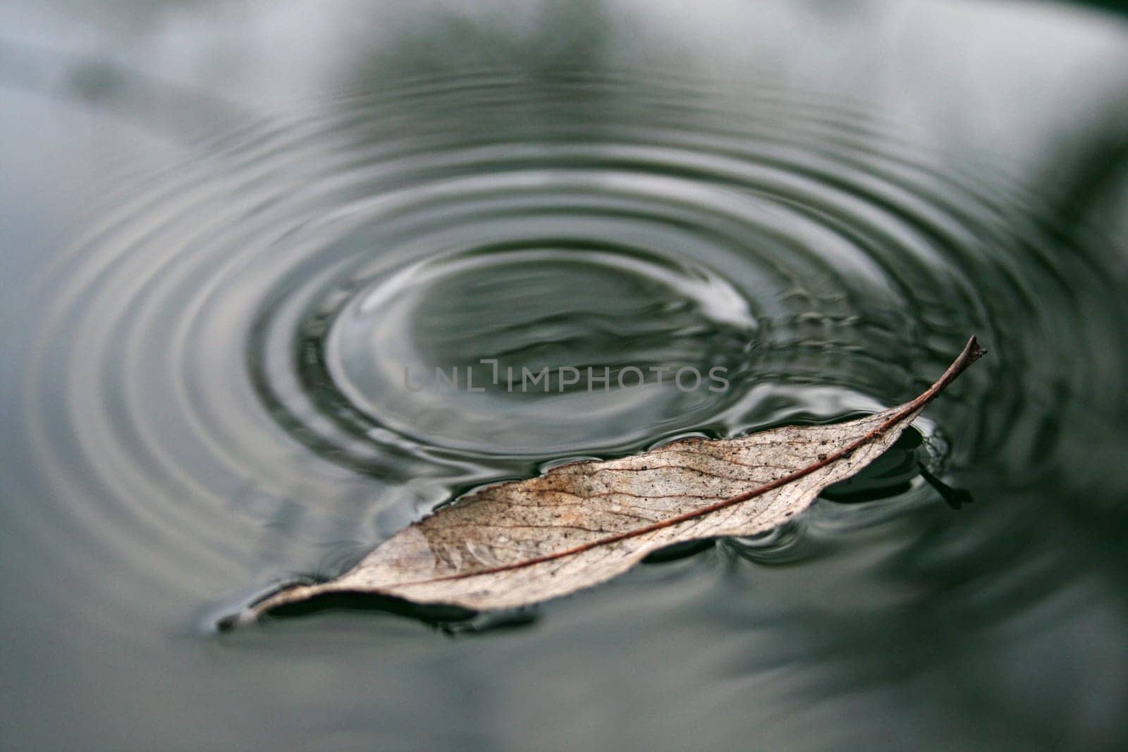 Waterdrop