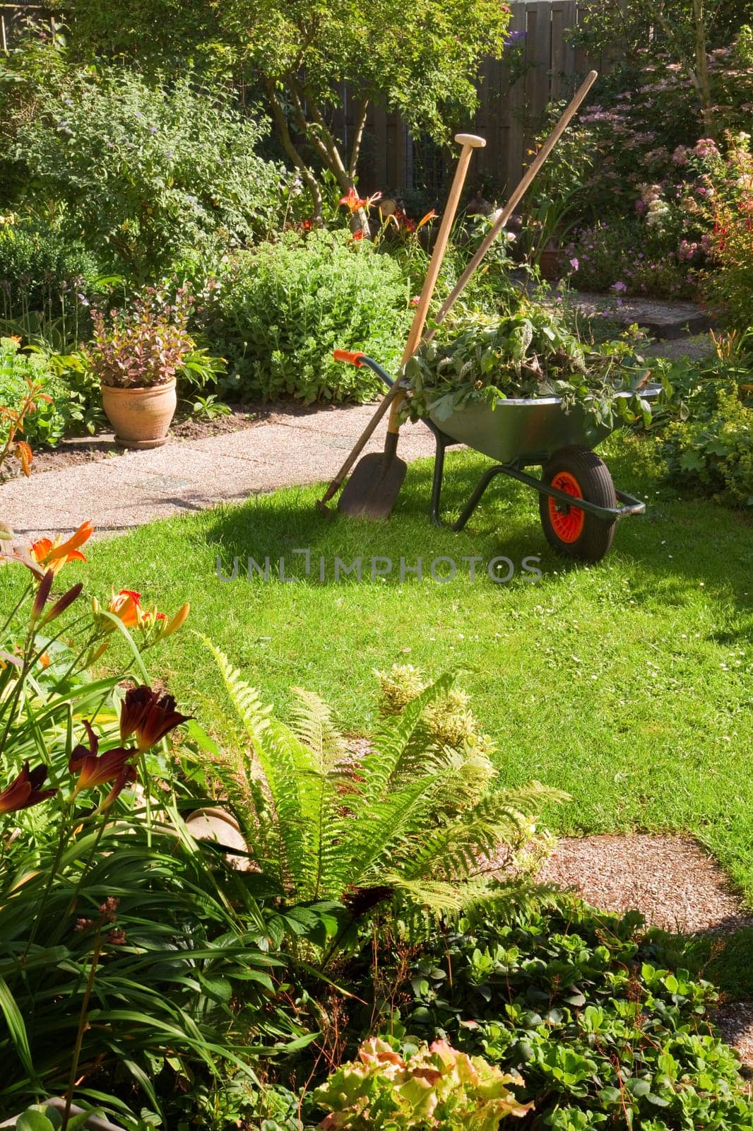 Work in summer garden in the morning with wheelbarrow, shovel and rake - vertical