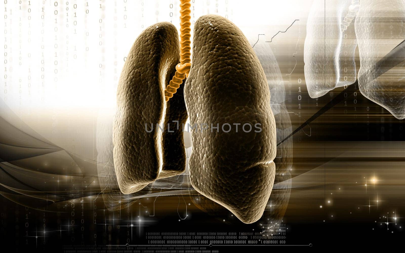Digital illustration of human lungs in colour background