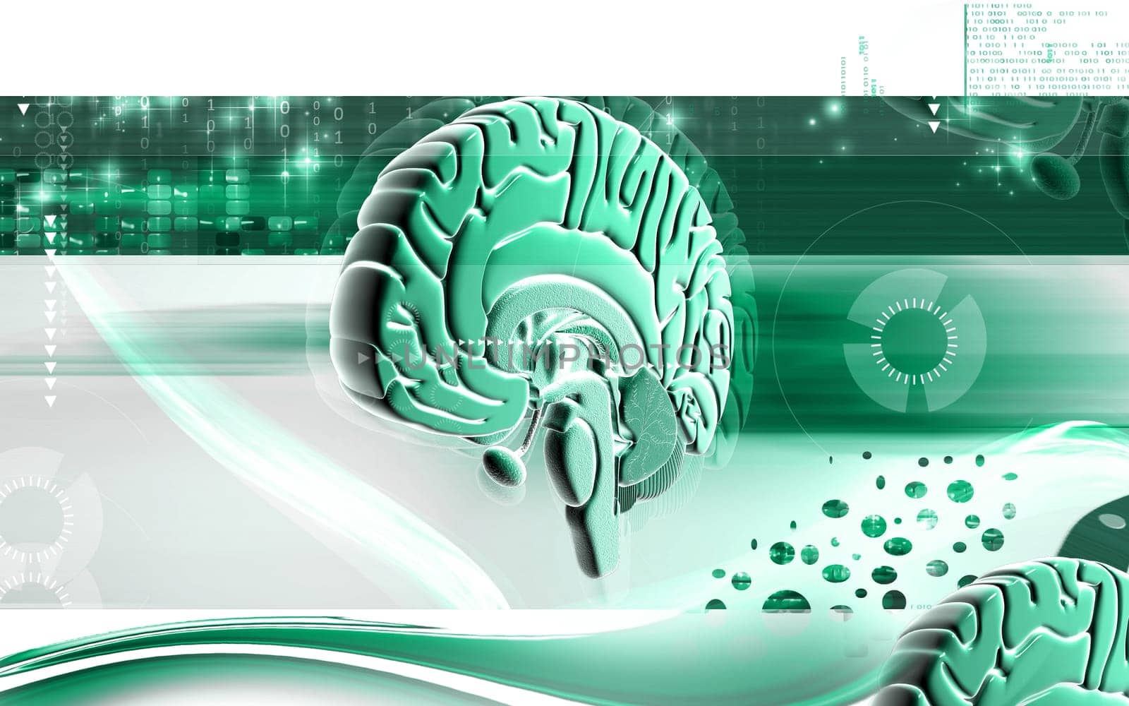 Digital illustration of brain in colour background