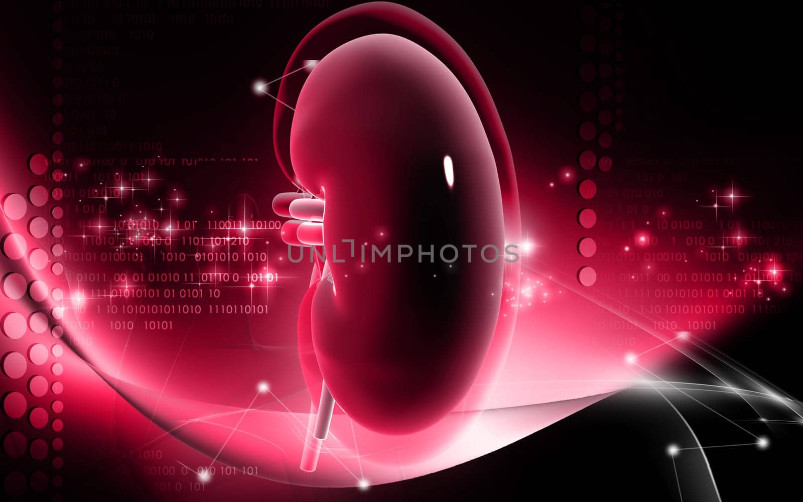 Digital illustration of kidney in colour background