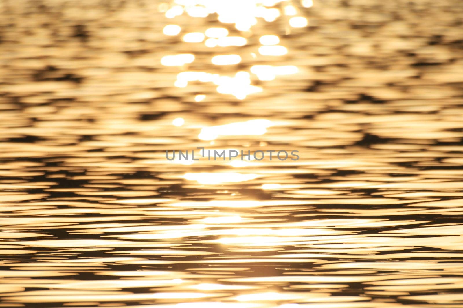 Sunsets by the sea