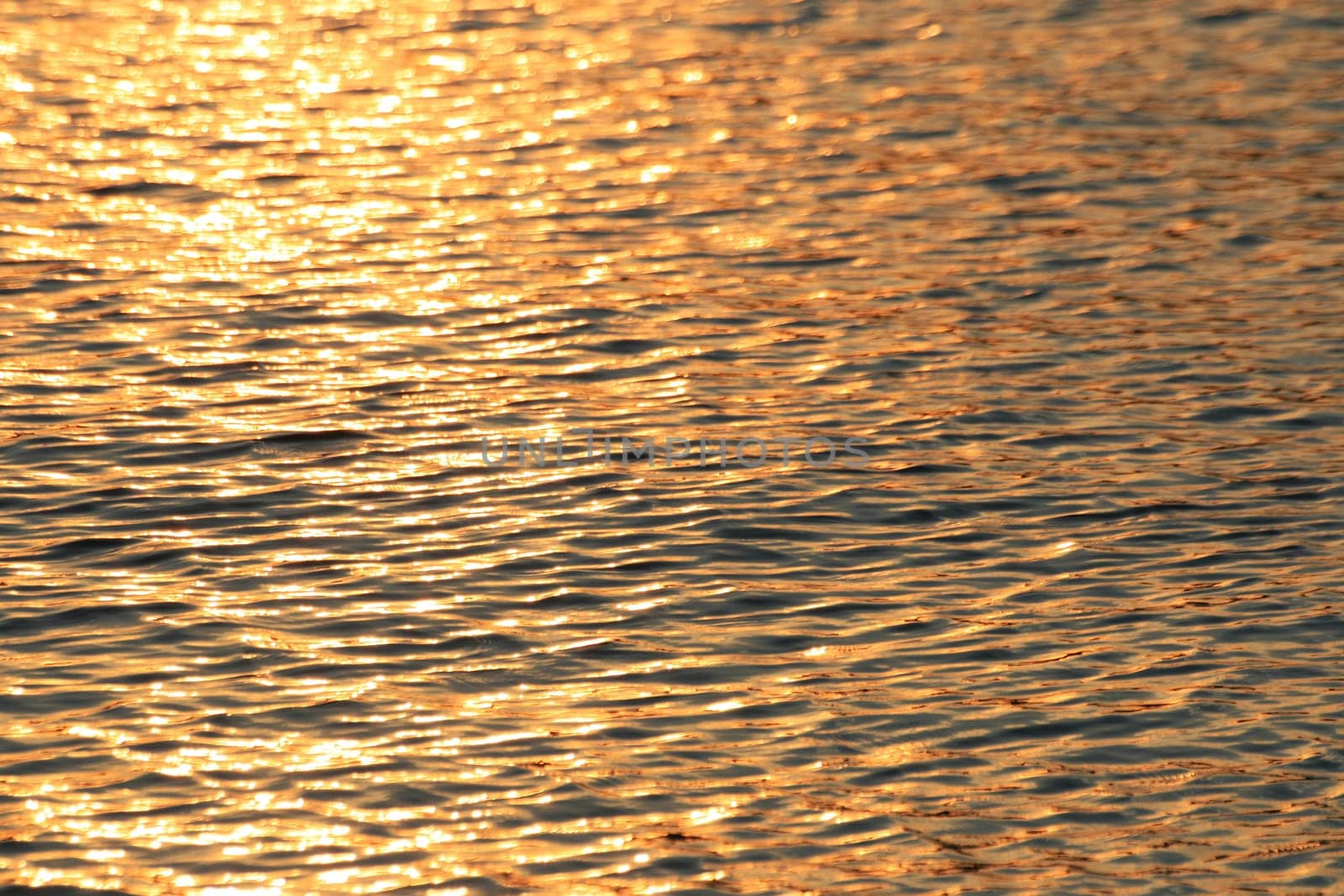 Sunsets by the sea