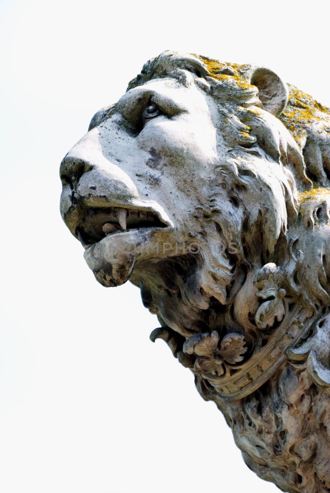 detail of stone lion