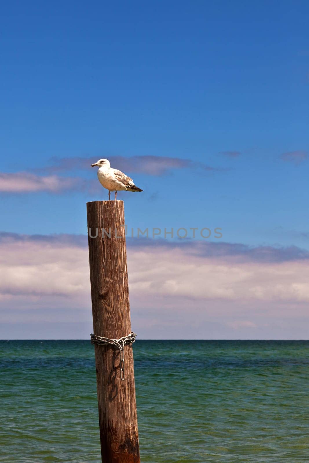 Lookout post