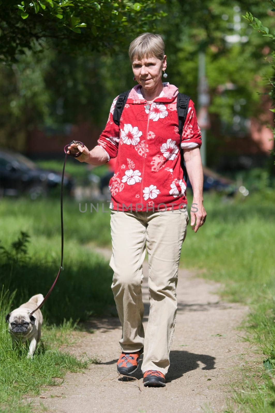 Full length shot of elderly woman with dog on a leash on a path in city park in summer