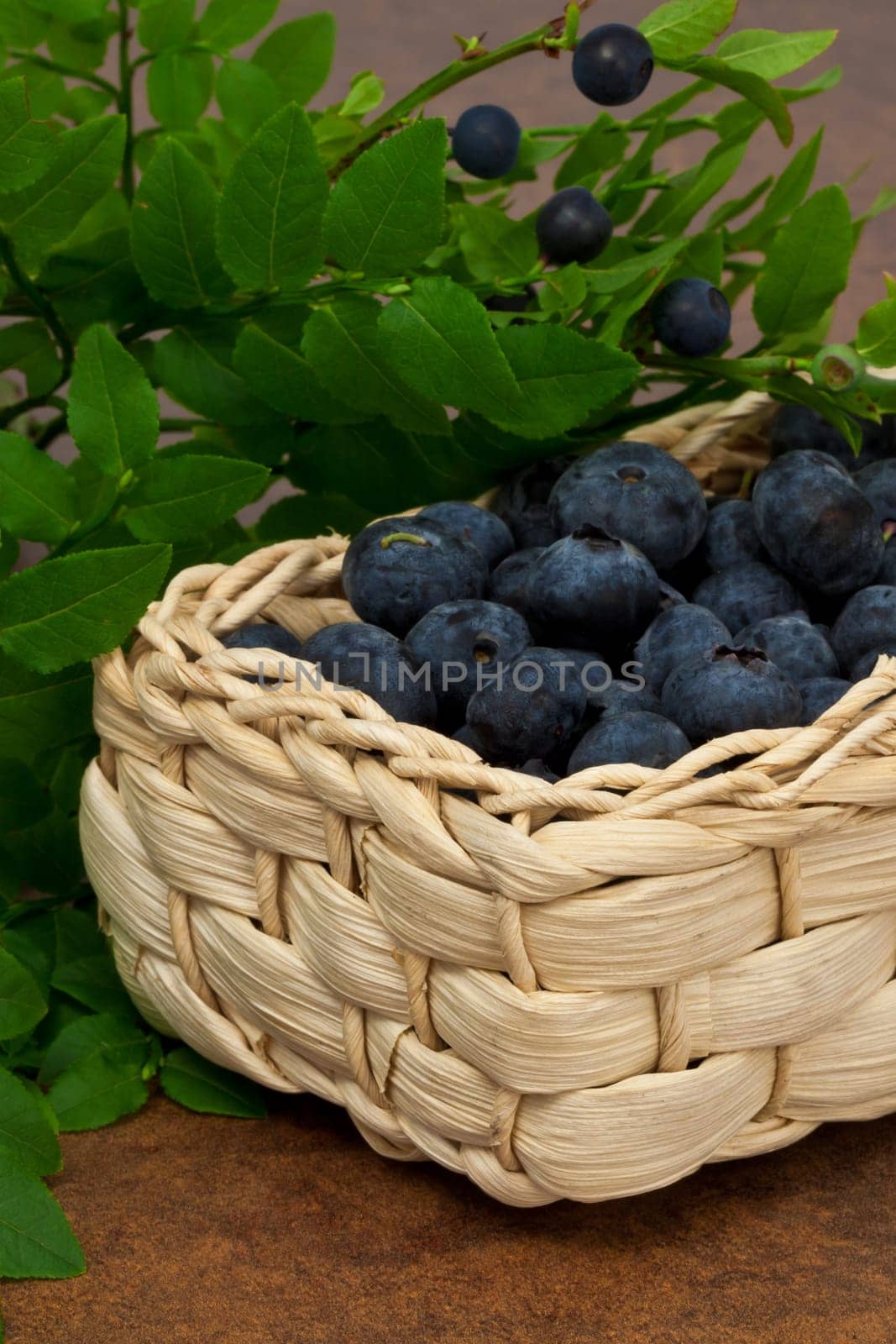 Blueberries - Blueberries