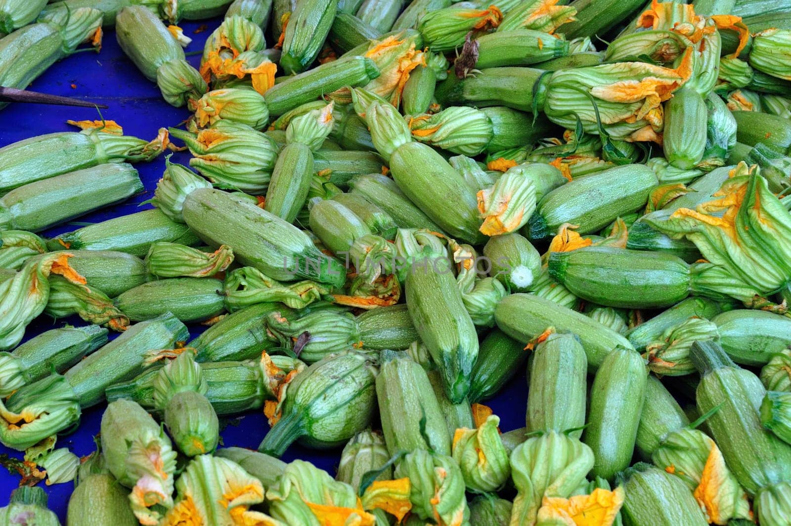 Courgette zucchini flowering vegetables for sale at grocery store.