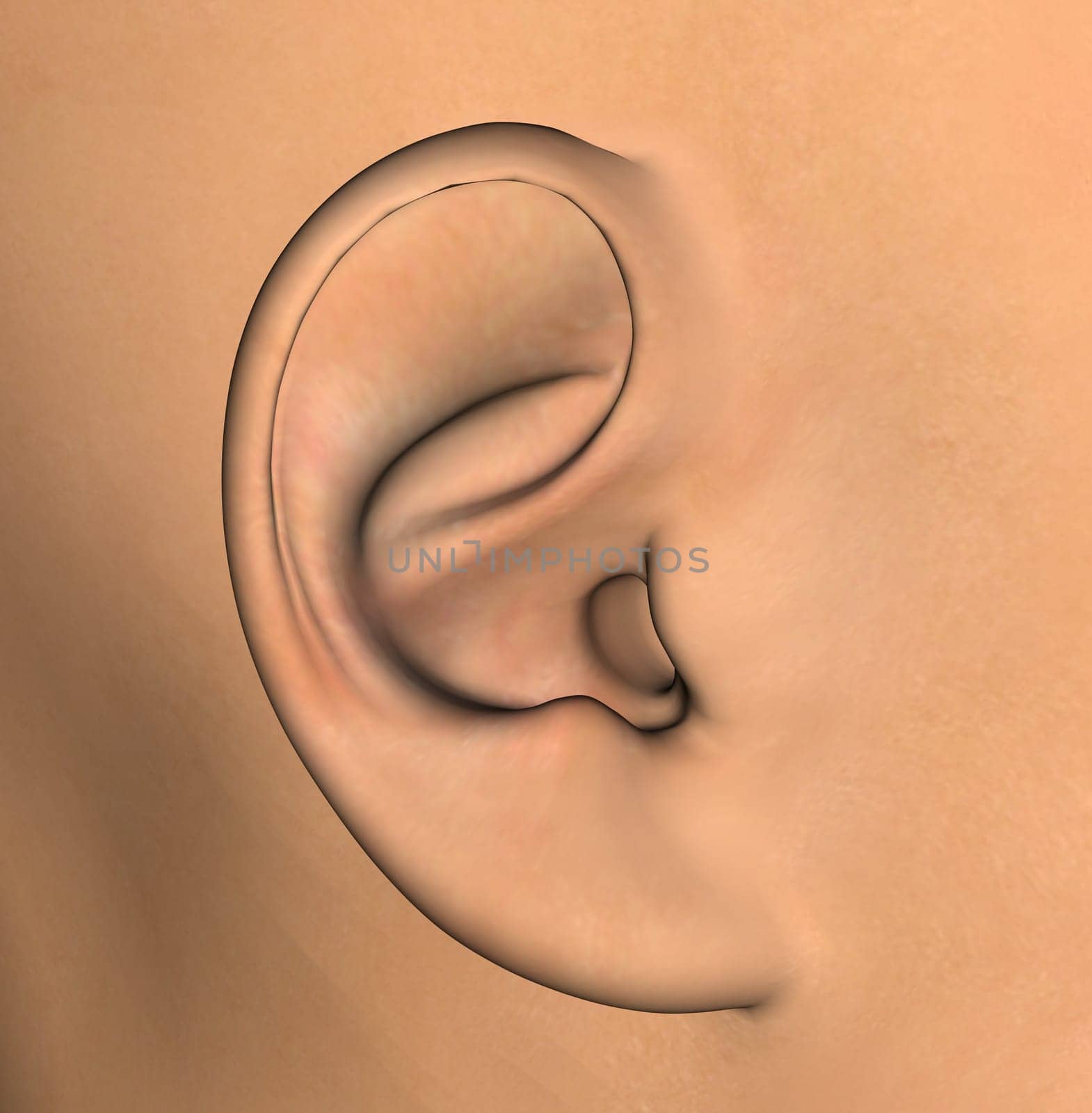 Human ear background detail. 3d illustration design element.