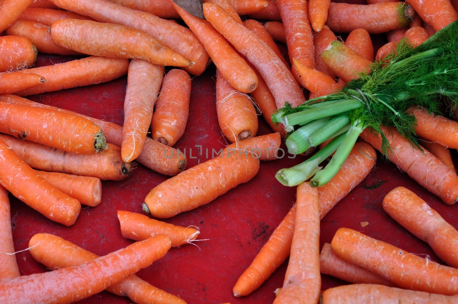 Carrots and dill for sale at grocery store. Vegetables background.