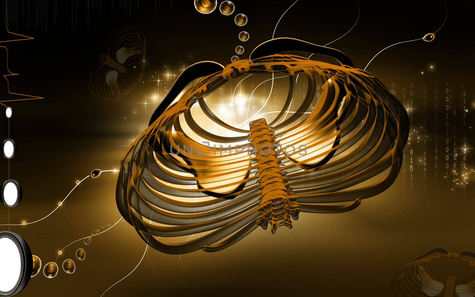 Digital illustration of collar bone in colour background