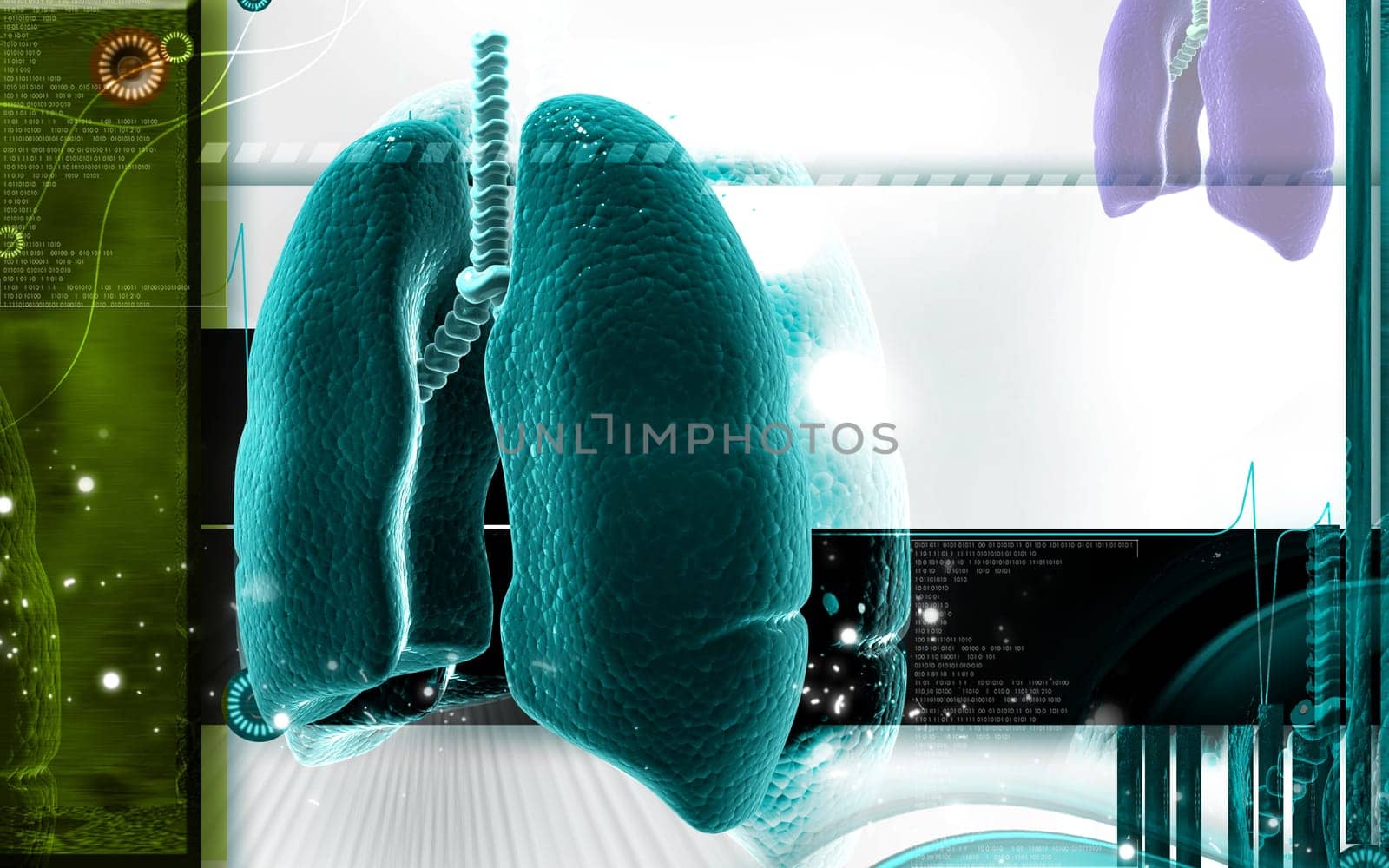Digital illustration of human lungs in colour background